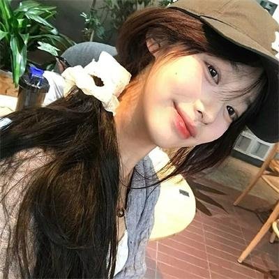 挎斗摩托车里的狗